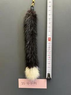 Item thumbnail for item 1f00e319-f542-453a-8a7c-111199f08beb