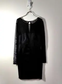 ZARABASIC✨️シアーワンピース　バックジップ　透け感　黒　usaM