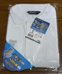 Item thumbnail for item bbbdaff9-809b-4a64-affd-e1f1e8f293ed