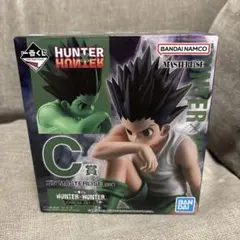 HUNTER×HUNTER 一番くじ ゴン C賞