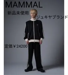 ピ*ピ様 MAMMAL CLASSIC JERSEY SETUP（ブルーグレー） MAMMAL CLASSIC JERSEY SETUP（ブルーグレー）