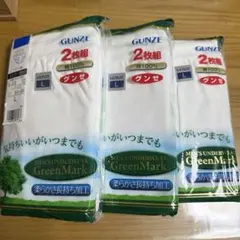 GUNZE グンゼ　スパンブリーフ　前あき　2枚組　3袋まとめ売り