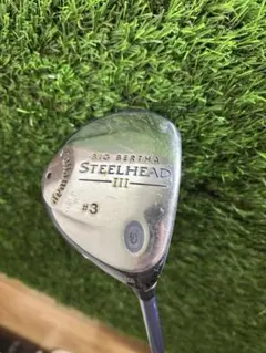 Item thumbnail for item 43b2bb69-ad8a-4e4f-b74d-f8a8aac5a0af