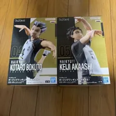 ハイキュー‼︎ ポージングフィギュア 木兎 光太郎 赤葦 京治　2体セット