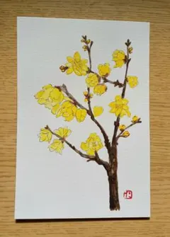 タップミント様 リクエスト 2点 まとめ商品