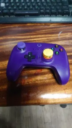 紫色 ゲームコントローラー