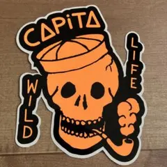 Item thumbnail for item 6a07efa0-f935-484d-b493-59bbd3c35f16