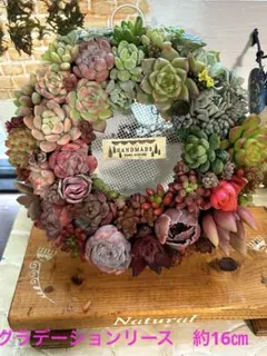 ハチ様 リクエスト 2点 まとめ商品