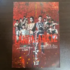 2026年最新】rizin パンフレットの人気アイテム - メルカリ
