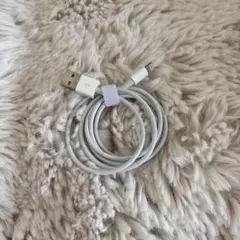 Lightningケーブル ホワイト　Apple製品