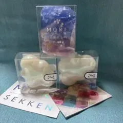 ポケモン工芸展 ペーパーウェイト つららおとし ポストカード - メルカリ