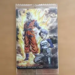 ドラゴンボール　イタジャガ　孫悟飯 & トランクス