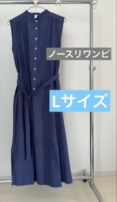 Item thumbnail for item 0c7c9178-66f9-4a11-87bc-34ab28a0e3e4