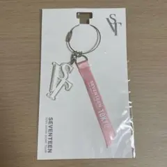 seventeen セブチ　ウォヌ　トレカ　ドーム SEVENTEEN ウォヌ DREAM 東京ドーム 会場限定 来場者限定