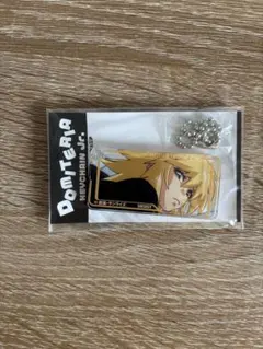 ガンダム　SEED FREEDOM カガリ・ユラ・アスハ　ドミテリアキーチェーン