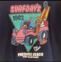 サーフデイズ　Ｔシャツ　Мのサムネイル