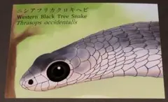 Item thumbnail for item 3c35bf59-33fb-455c-aa84-e3e03f55cbc7