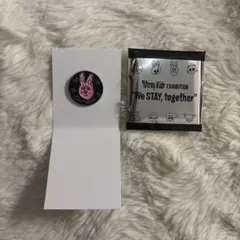 Stray Kids スキズ 展示会 ピンバッチ チャンビン トゥエッキ