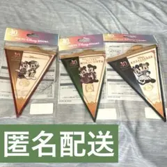 ディズニーホテル 40周年 ガーランド&リゾートライン台紙