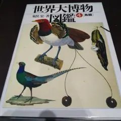 2026年最新】鳥類大図鑑の人気アイテム - メルカリ