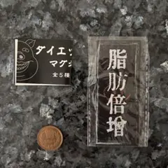 【お値下げ中】ダイエットお札 マグネット 脂肪倍增