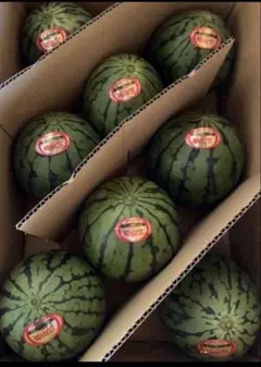 農家直送‼️ 長崎県産　小玉スイカ　7or8玉入り　送料無料‼️のサムネイル