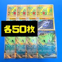 バンギラスex 進化ライン　各50枚　150枚セット　未使用品　まとめ買い歓迎