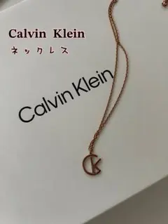 2026年最新】Calvin Klein レディース ネックレスの人気アイテム 
