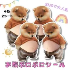 お腹シール 4匹 ぷにぷに 立体シール 柴犬 おへそ 犬 ぷくぷくシール 癒し