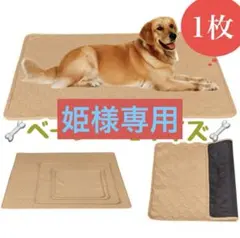 Item thumbnail for item f6fc6f05-98d4-4dec-92eb-faf7bfbc52ca