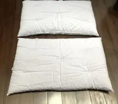 長座布団　中身　新品　2枚のサムネイル