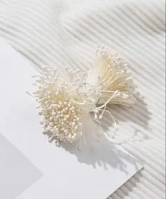 Item thumbnail for item 3a53044d-41fd-4297-b306-3dc0137b37b6