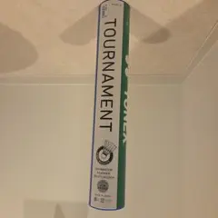 Item thumbnail for item 1a88ed39-50eb-4366-88dc-3cef3c536b4e