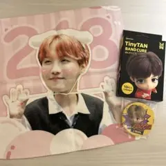 BTS  ホソク J-HOPE 絆創膏 缶バッジ ミニスローガン