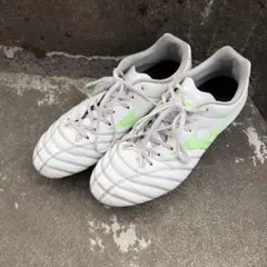モナルシーダネオ