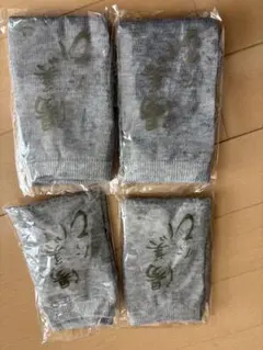 Item thumbnail for item 2c08dfd4-e1cb-41ed-85de-4a73f394b379