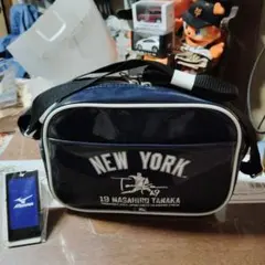 Item thumbnail for item 706dfd33-c2f2-4c3d-85a3-a5f8783ba849