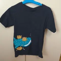沖縄美ら海水族館 ジンベエザメ Tシャツ 130cmのサムネイル
