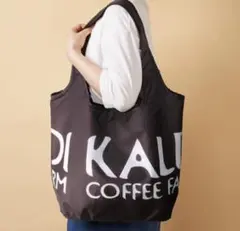 コンパクト保冷エコバッグ カルディKALDI　 対荷重　１０kg　大容量のサムネイル