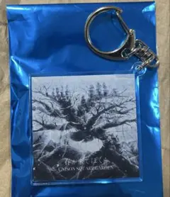 2026年最新】ユニゾンスクエアガーデン キーホルダーの人気アイテム