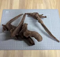 趣味極振り様 リクエスト 2点 まとめ商品