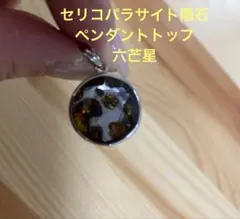 2025年最新】セリコパラサイト隕石の人気アイテム - メルカリ