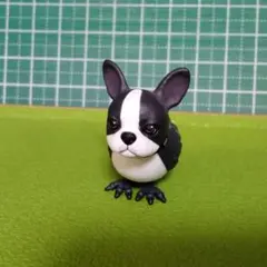 イヌトリ2 フレンチブルドッグ×鳥