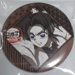 2025年最新】お楽しみ 胡蝶しのぶの人気アイテム - メルカリ