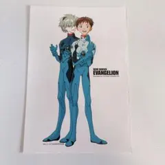 エヴァンゲリオン 限定 シール ステッカー 碇シンジ 渚カヲル