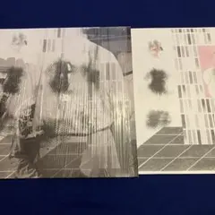 James Blake Overgrown LP レコード ジェイムス・ブレイク Overgrown : James Blake | HMV&BOOKS online - 3732472