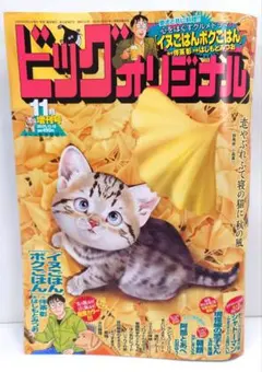 ビッグコミックオリジナル 雑誌