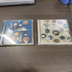 【スピッツ】アルバム2枚セット CYCLE HIT