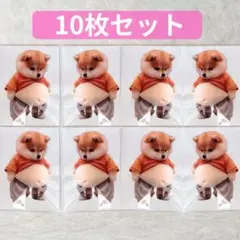 ケルン★プロフ読んでね！様 リクエスト 3点 まとめ商品