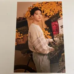 ホシ ポストカード　SEVENTEEN